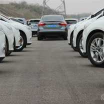 娱乐吃瓜社福克斯,揭秘娱乐圈幕后故事